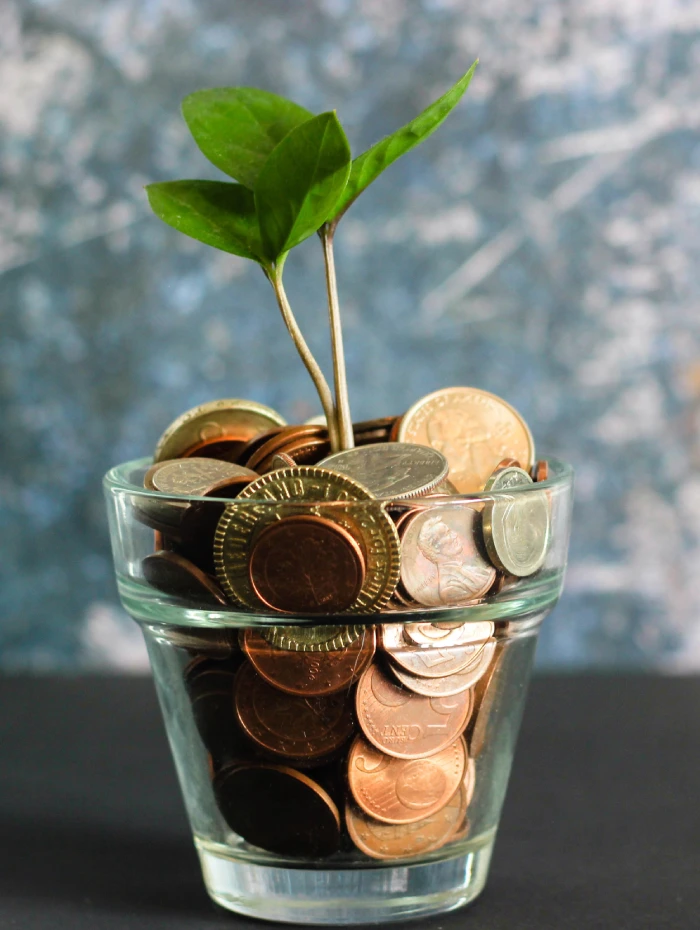 Pourquoi utiliser un Budget Planner ?