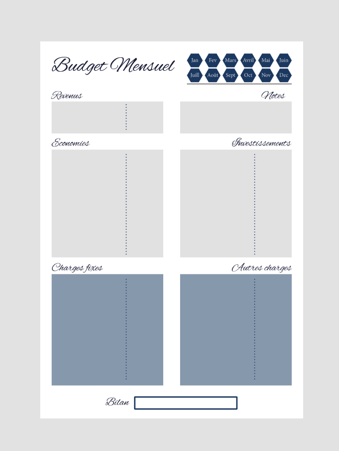 Pinterest Budget Planner Astra Velora